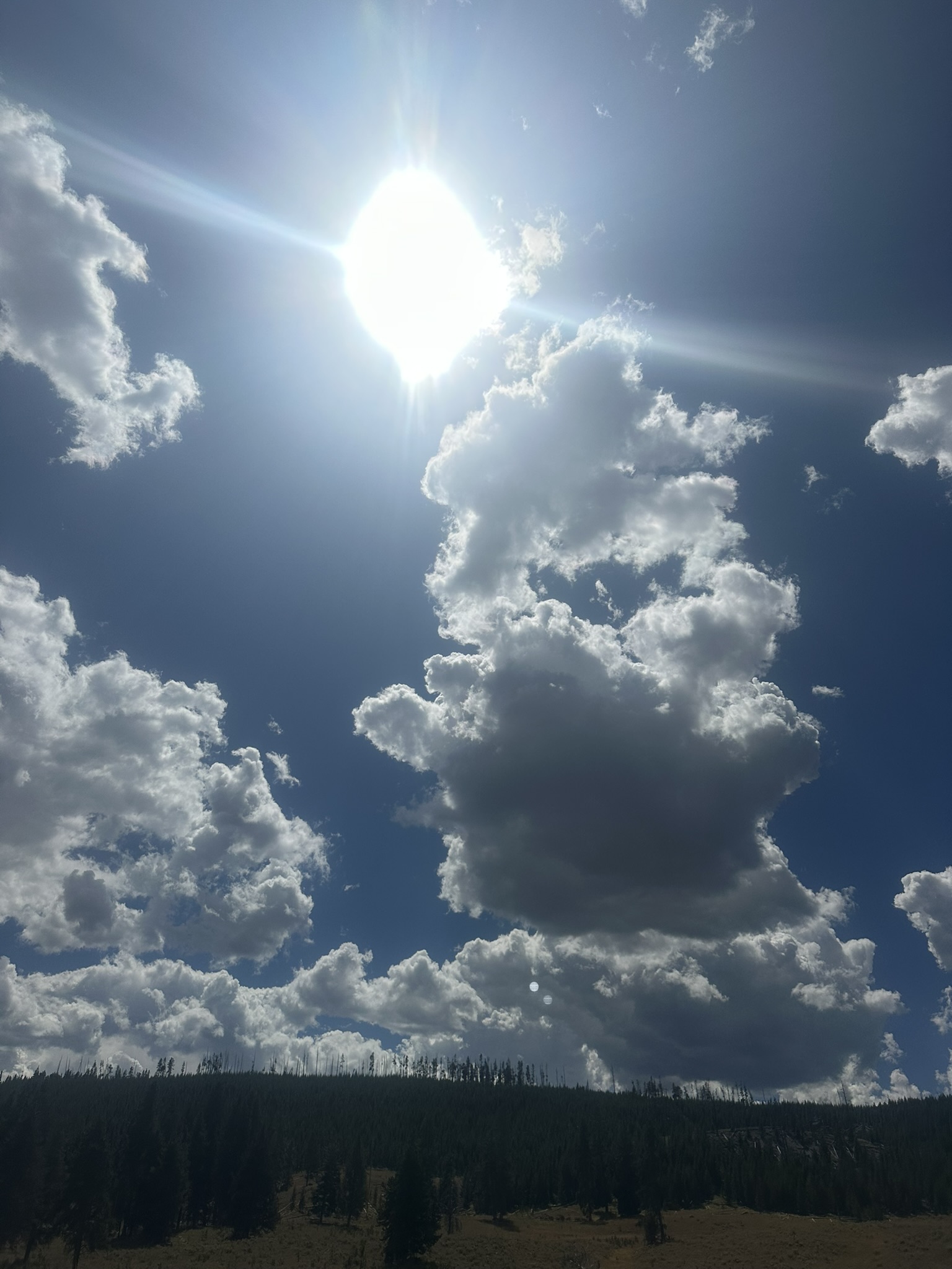 Yellowstone And Grand Teton National Parks - Image 1406